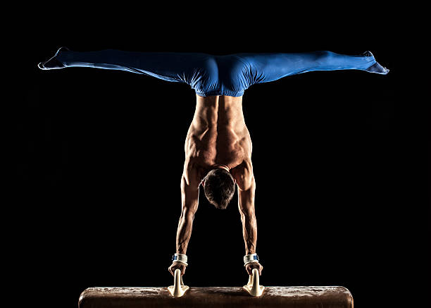 pommel horse