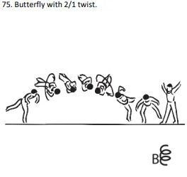 Butterfly with 2/1 twist.