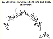 Salto bwd. str. with 2/1 t and salto bwd piked.