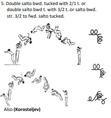 Double salto bwd. tucked with 2/1 t. or double salto bwd t. with 3/2 t..or salto bwd. str. 3/2 to fwd. salto tucked.