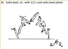 Salto bwd. str. with 1/1 t and salto bwd piked.