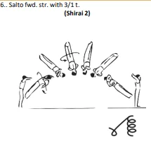 Salto fwd. str. with 3/1 t.