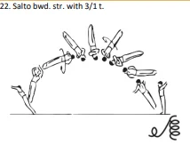 Salto bwd. str. with 3/1 t.