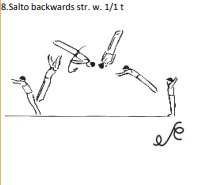 Salto backwards str. w. 1/1 t