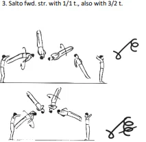 Salto fwd. str. with 1/1 t., also with 3/2 t