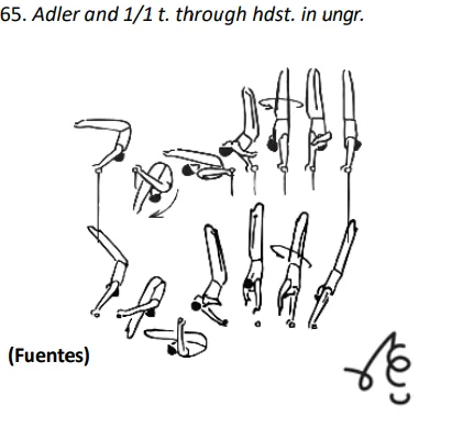 Adler and 1/1 t. through hdst. in ungr