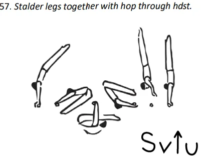 Stalder legstogether with hop through hdst