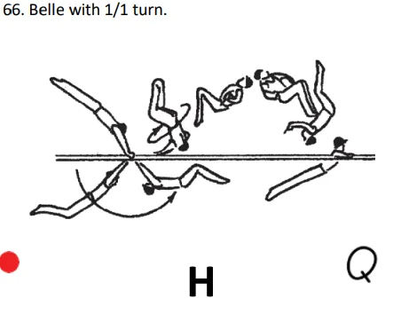 Belle with 1/1 turn.
