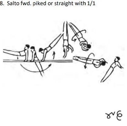 Salto fwd. piked or straight with 1/1