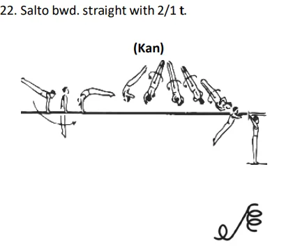 Salto bwd.straight with 2/1 t.