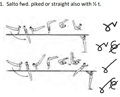 Salto fwd. piked or straight also with ½ t