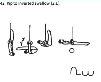 Kip to inverted swallow (2 s.).