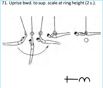 Uprise bwd. to sup.scale at ring height (2 s.).