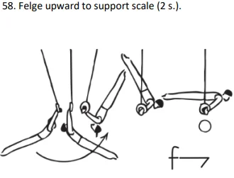 Felge upward to support scale (2 s.).