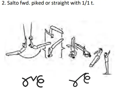Salto fwd. piked or straight with 1/1 t.