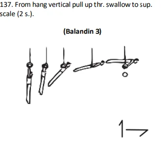 From hang vertical pull up thr.swallow to sup. scale (2 s.).