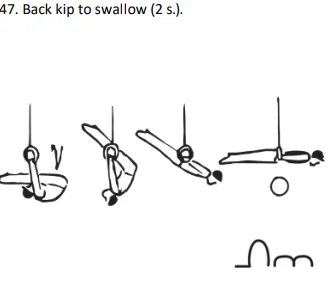 Back kip to swallow (2 s.).