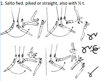 Salto fwd. piked or straight, also with ½ t