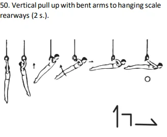 Vertical pull up with bent arms to hanging scale rearways (2 s.).