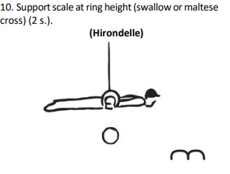 Support scale at ring height(swallow or maltese cross) (2 s.).