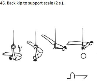 Back kip to support scale (2 s.).