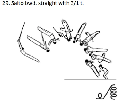 Salto bwd. straight with 3/1 t