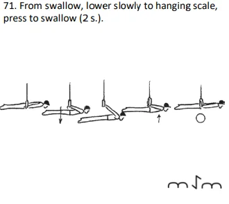 From swallow, lower slowly to hanging scale, press to swallow (2 s.).