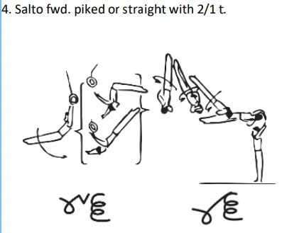 Salto fwd. piked orstraight with 2/1 t