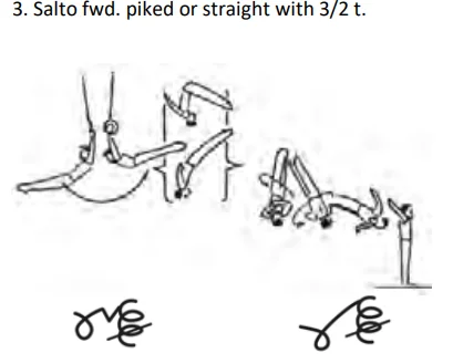 Salto fwd. piked or straight with 3/2 t