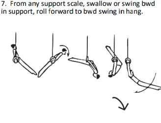 From any support scale, swallow or swing bwd in support, roll forward to bwd swing in hang.
