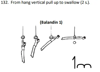 From hang vertical pull up to swallow (2 s.).