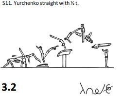 Yurchenko straight with½t