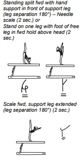 Standing split fwd with hand support in front of support leg (leg separation 180°) – Needle scale (2 sec.) or Stand on one leg with foot of free leg in fwd hold above head (2 sec.), Scale fwd, support leg extended (leg separation 180°) (2 sec.)