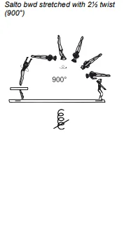 Salto bwd stretched with 2½ twist (900°