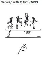 Cat leap with ½ turn (180°)