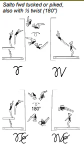 Salto fwd tucked or piked, also with ½ twist (180°)