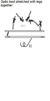 Salto bwd stretched with legs together