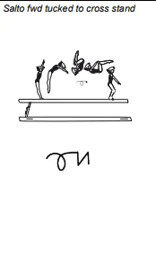 Salto fwd tucked to cross stand