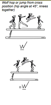 Wolf hop or jump from cross position (hip angle at 45°, knees together)