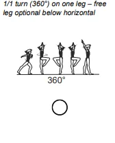 1/1 turn (360°) on one leg – free leg optional below horizontal