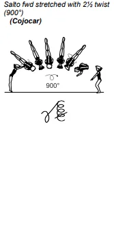 Salto fwd stretched with 2½ twist (900°)