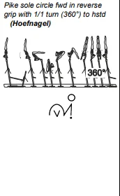 Pike sole circle fwd in reverse grip with 1/1 turn (360°) to hstd