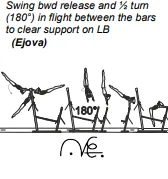 Swing bwd release and ½ turn (180°) in flight between the bars to clear support on LB