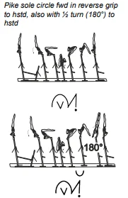 Pike sole circle fwd in reverse grip to hstd, also with ½ turn (180°) to hstd