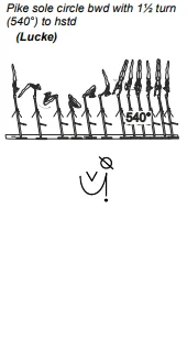 Pike sole circle bwd with 1½ turn (540°) to hstd