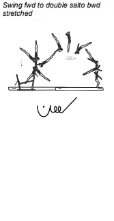Swing fwd to double salto bwd stretched